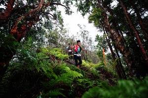 BIB: 
                            <button type="button" onclick="openModal(26204188)" class="btn btn-primary btn-sm float-right btn-popup" data-toggle="modal" data-target=".modal-high-quality">
                        <i class="fas fa-shopping-cart"></i> Add to Cart
                    </button>
                                            <button type="button" onclick="isThisMe(26204188, true)" class="btn btn-success btn-sm float-right btn-popup btn-isme hidden" data-toggle="tooltip" data-placement="bottom" title="นี่คือรูปของคุณใช่ไหม คลิกที่นี่เพื่อเอาเข้าอัลบั้ม">
                        <i class="fas fa-plus"></i> Add to album
                    </button>
                    <button type="button" onclick="isThisMe(26204188, false)" class="btn btn-warning btn-sm float-right btn-popup btn-isnotme hidden">
                        <i class="fas fa-ban"></i> Remove from album
                    </button>